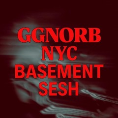 GGNORB NYC BASEMENT SESH 2025 (MIX)