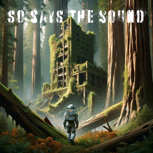 So Says the Sound