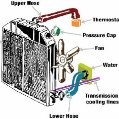 ¶ ¶  RADIATOR GIRL ...   Video for this:     youtu.be/miYukW8-kRU