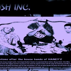 T-Roc Plenty Flavors The Way We Live To Be Like You