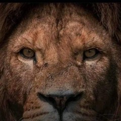 Electronical melodic house-techno trance mix.