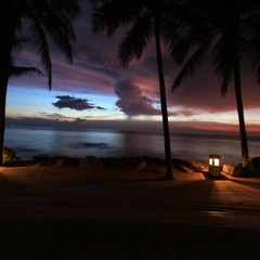 International Cartel