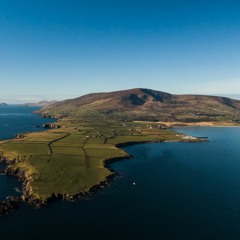 C Wild Whistle Reels