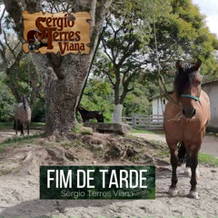 FIM DE TARDE - SÉRGIO TERRES VIANA