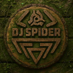DJ Spider - Back To My Mashed House Vol. 01
