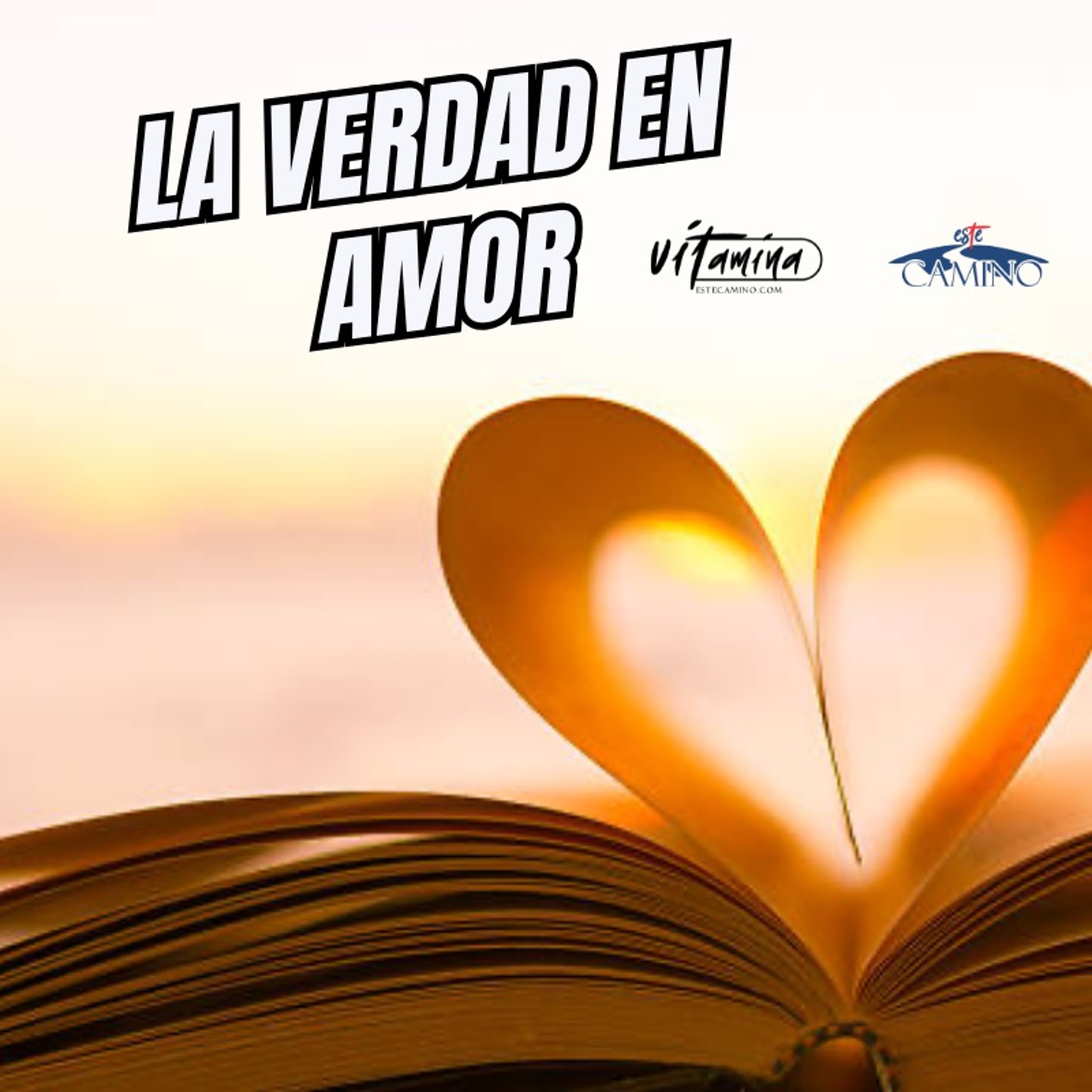 La Verdad En Amor, Carmen Gloria episode artwork