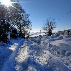 The maverick and the musician