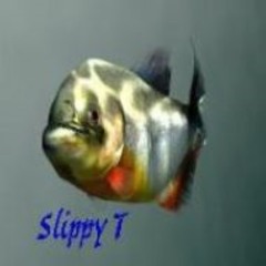 The Slip