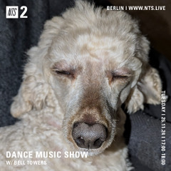 DANCE MUSIC SHOW 26/11/24