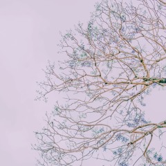 A Snippet of The Table by Jonathan Traylor