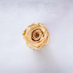 Emotional Piano Type Beat / Thorns (Free For Profit)