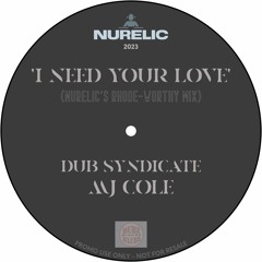 I Need Your Love - Dub Syndicate / MJ Cole (NURELIC's Rhode-Worthy Mix)