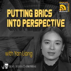 Putting BRICS into Perspective with Yan Liang