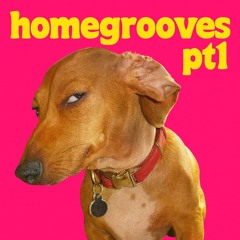 Homegrooves pt.1 [SPEEDHOUSE SET]