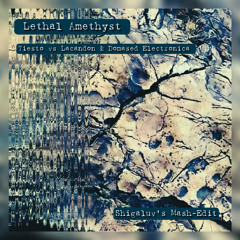 Lethal Amethyst - Tiesto vs Lacandon & Domased Electronica - Shigaluv's MashUP