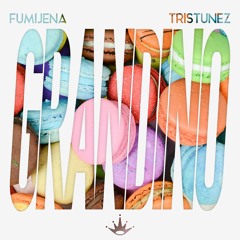 Fumijena & TrisTunez - Grandino [King Step Release]