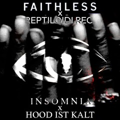 Faithless x Reptiloidi Rec.-Insomnia/Hood Ist Kalt Mashup