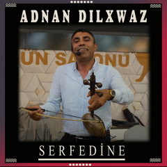 Serfedine