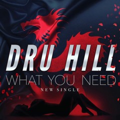 DRU HILL "WHAT YOU NEED" PRODUCED BY J-TRACK & TROY TAYLOR