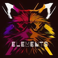 Racoon - Elements