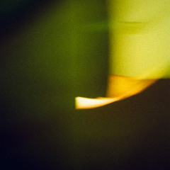 in vitro