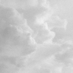 what do you see