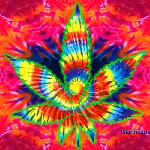 YaNcHiCkBaNaNcHik - 3 G