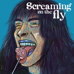 Screaming on the Fly - Pranav Bhasin (ft. Rohini Maiti)