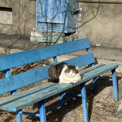 исчерпал свои силы/по прежнему мимо w/trylixx