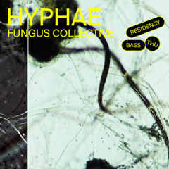 Hyphae 001
