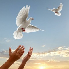 Pray 4 Peace! (Ben Schwarz und Krishna Bhakti Das)