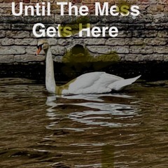 Until the Mess