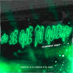 Yo Se Que Tu Quieres (Turreo Edit) (Remix)