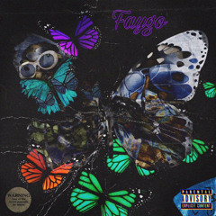 Faygo