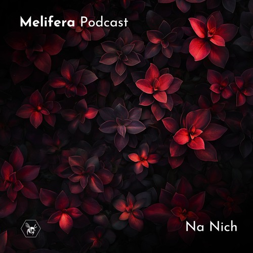 Melifera Podcast ⬢ Na Nich