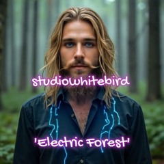 Electric Forest