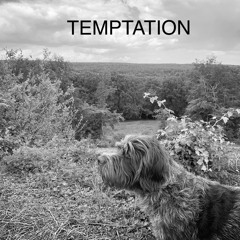 Temptation, nice and easy