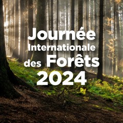 Spot : " Journée Internationale des Forêts 2024 "