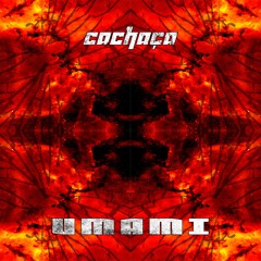 Cachaça - Umami