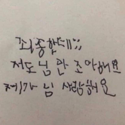 여우비 예빛