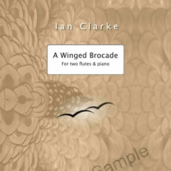 A Winged Brocade (excerpt)