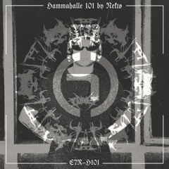 HAMMAHALLE 101 by NEKTØ