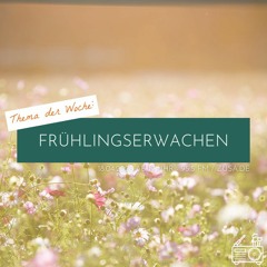 Frühlingserwachen - der Sommer kommt!