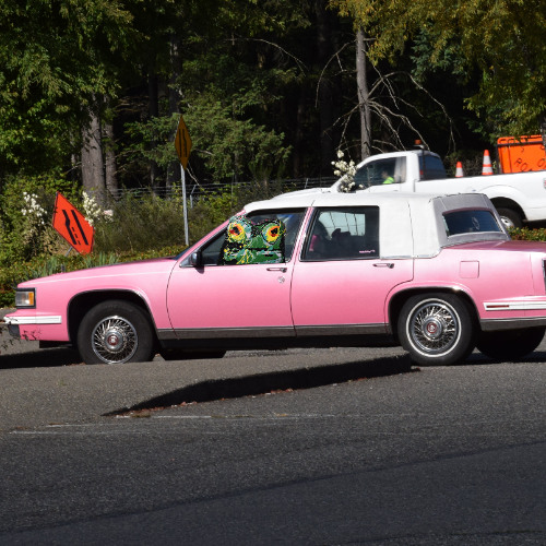 when you think all is boring but then see an old pink Cadillac with one eyelash