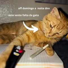 D0M1NG0 4 N0173 (💣💣💣B0MB4)