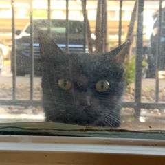 (I’M)PERFECT (instrumental demo)