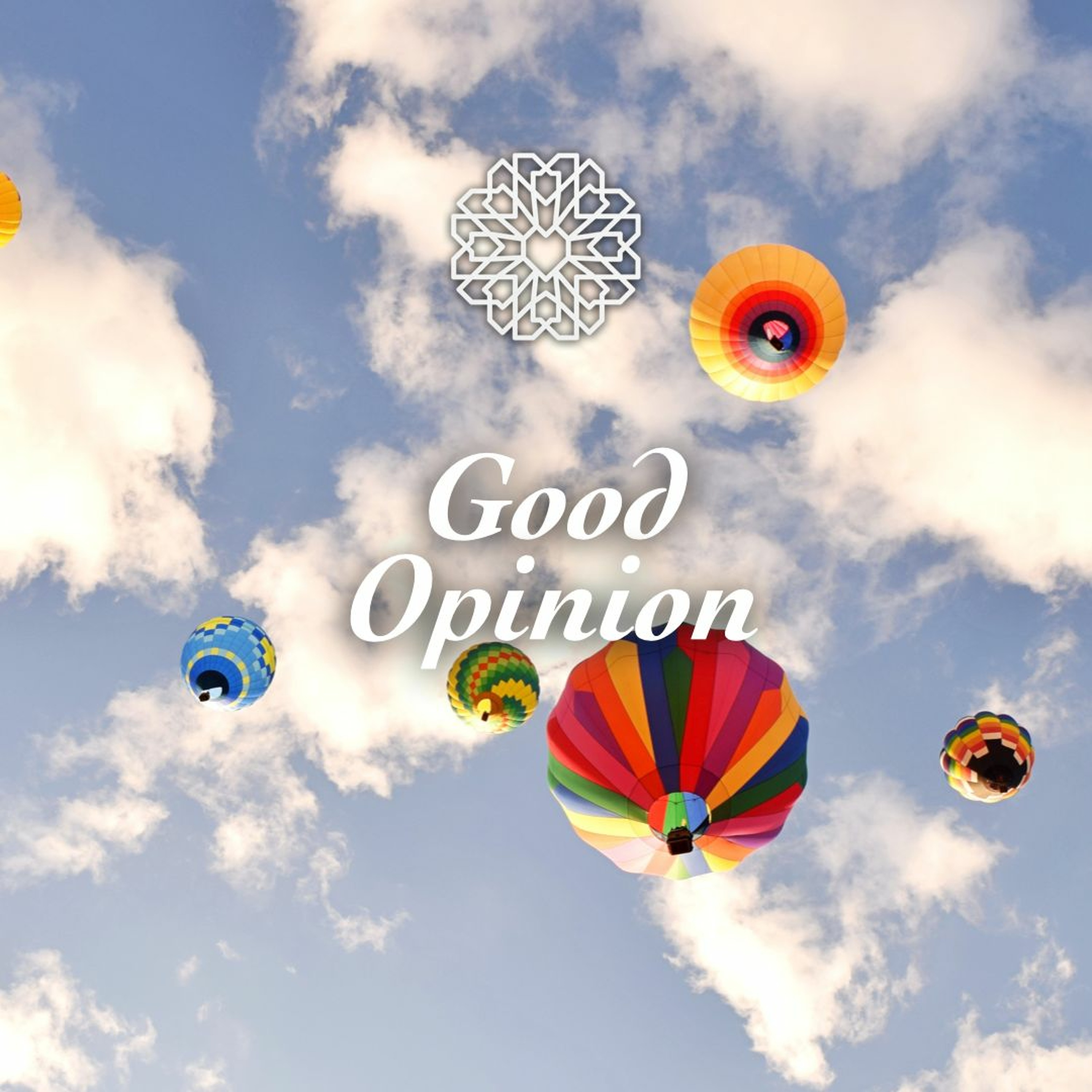 Episode 7.28 • Good Opinion