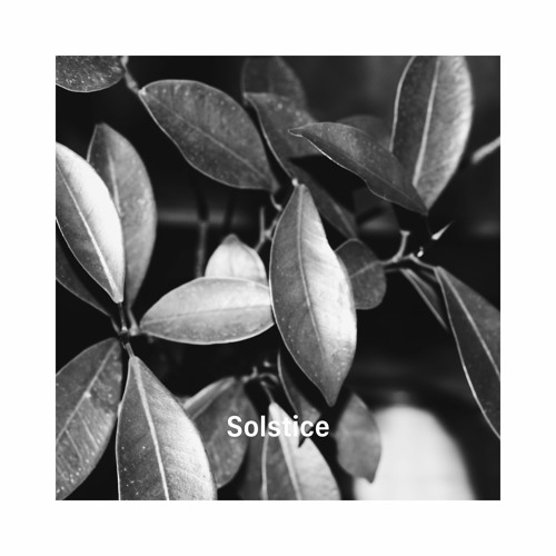 Soshi Takeda - Solstice