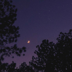 Broken Down (prod. MAJZKLUANI)