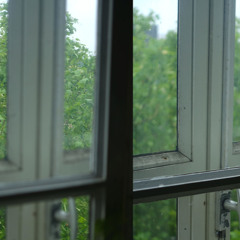 Looking at - Looking through (disquiet0700)